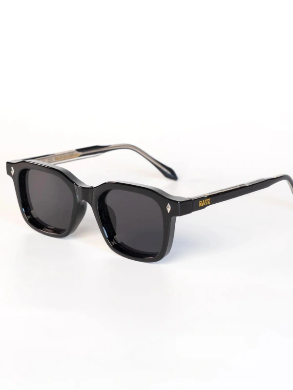Lunettes de Soleil Boston Noir Rayz