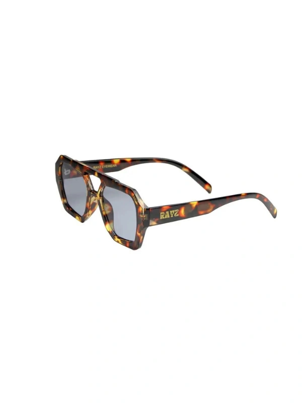 Lunettes de Soleil Vik Rayz Eyewear