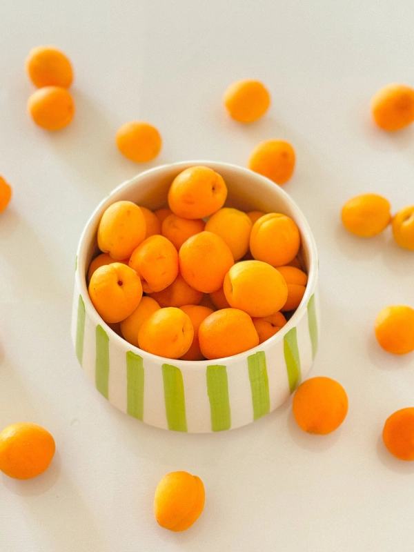 Saladiers Delmar Casa 38