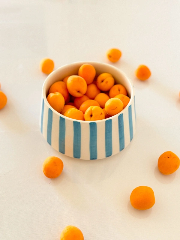 Saladiers Delmar Casa 38