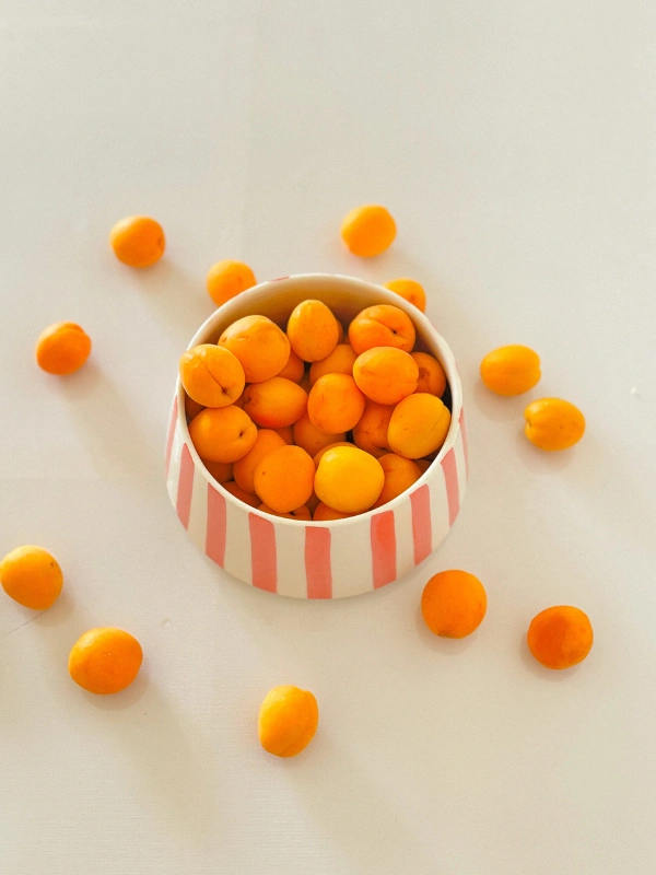 Saladiers Delmar Casa 38