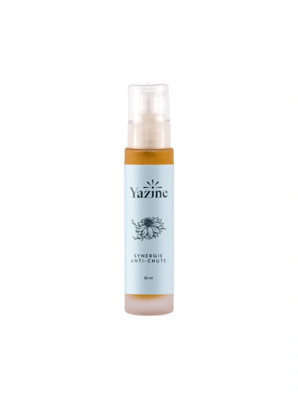 Synergie antichute Yazine