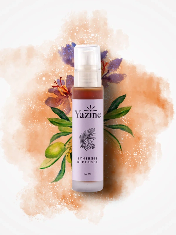 Synergie repousse Yazine