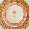 Assiettes-a-rayures-fines-Casa38