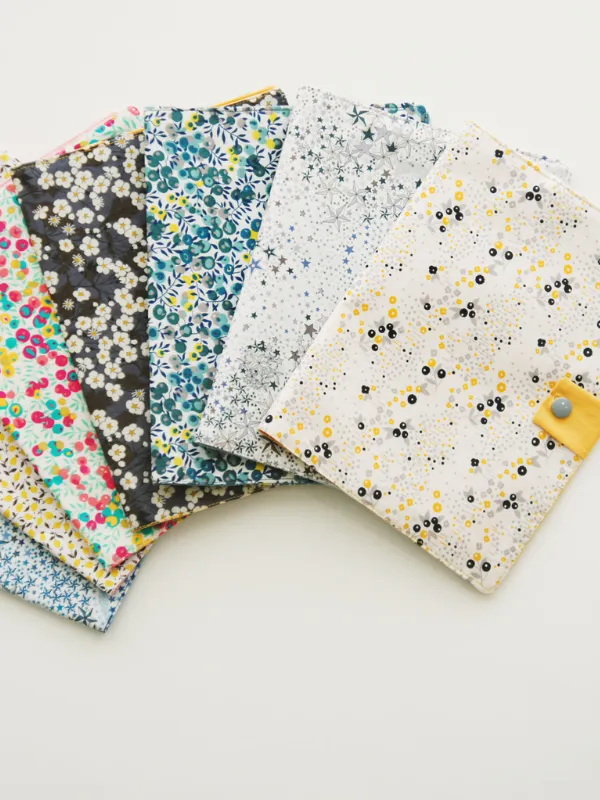 Protege-carnet-de-sante-ranes-